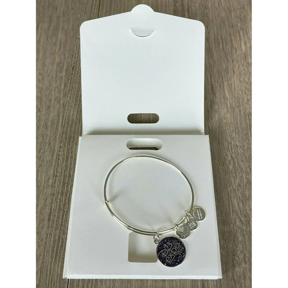 Alex And Ani 2019 Disney Parks Bracelet Bangle Collection D23 Expo Charm Silver - Picture 3 of 4